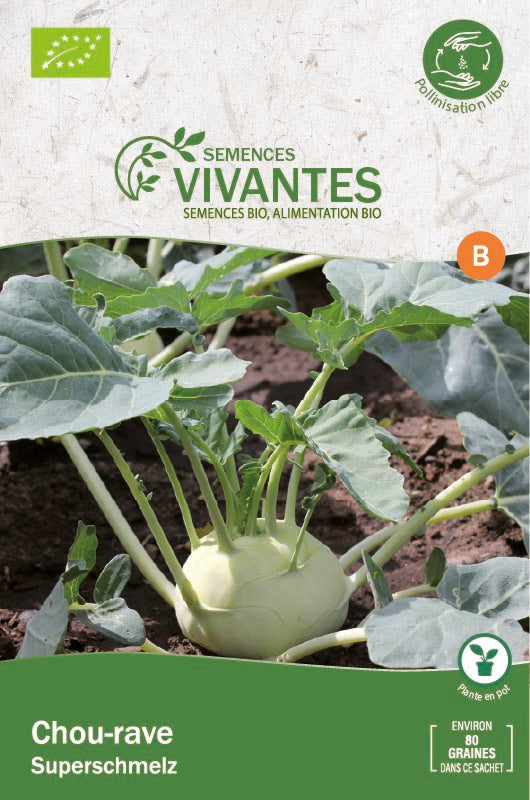 Semences Vivantes -- Chou-rave superschmelz bio - Sachet de 80 graines