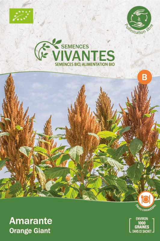 Semences Vivantes -- Amarante orange giant bio demeter - Sachet de 1000 graines