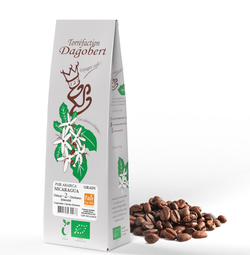 Les Cafés Dagobert -- Nicaragua 100% arabica, bio et équitable - grains (origine Nicaragua) - 250 g
